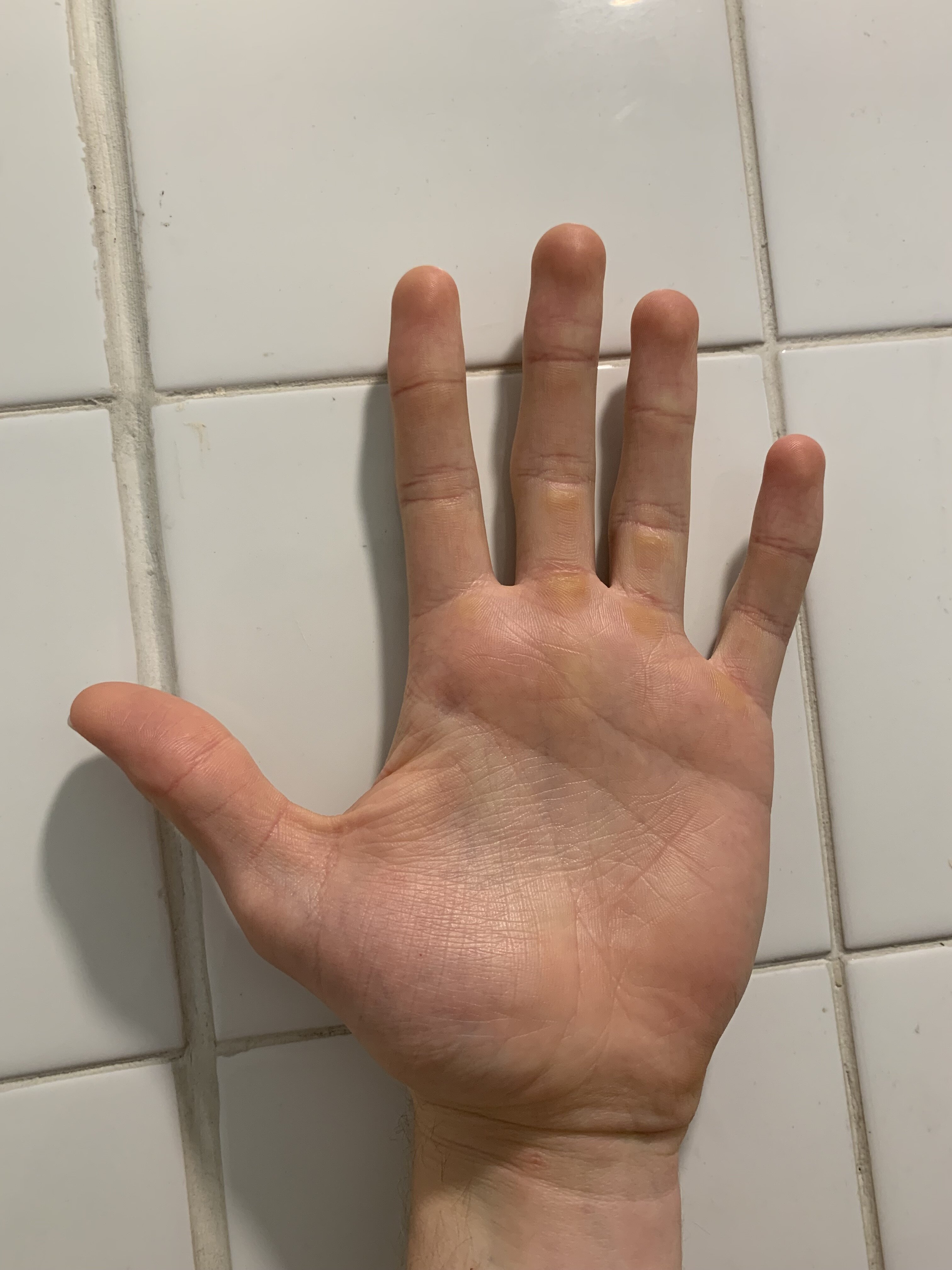 IMG 1825