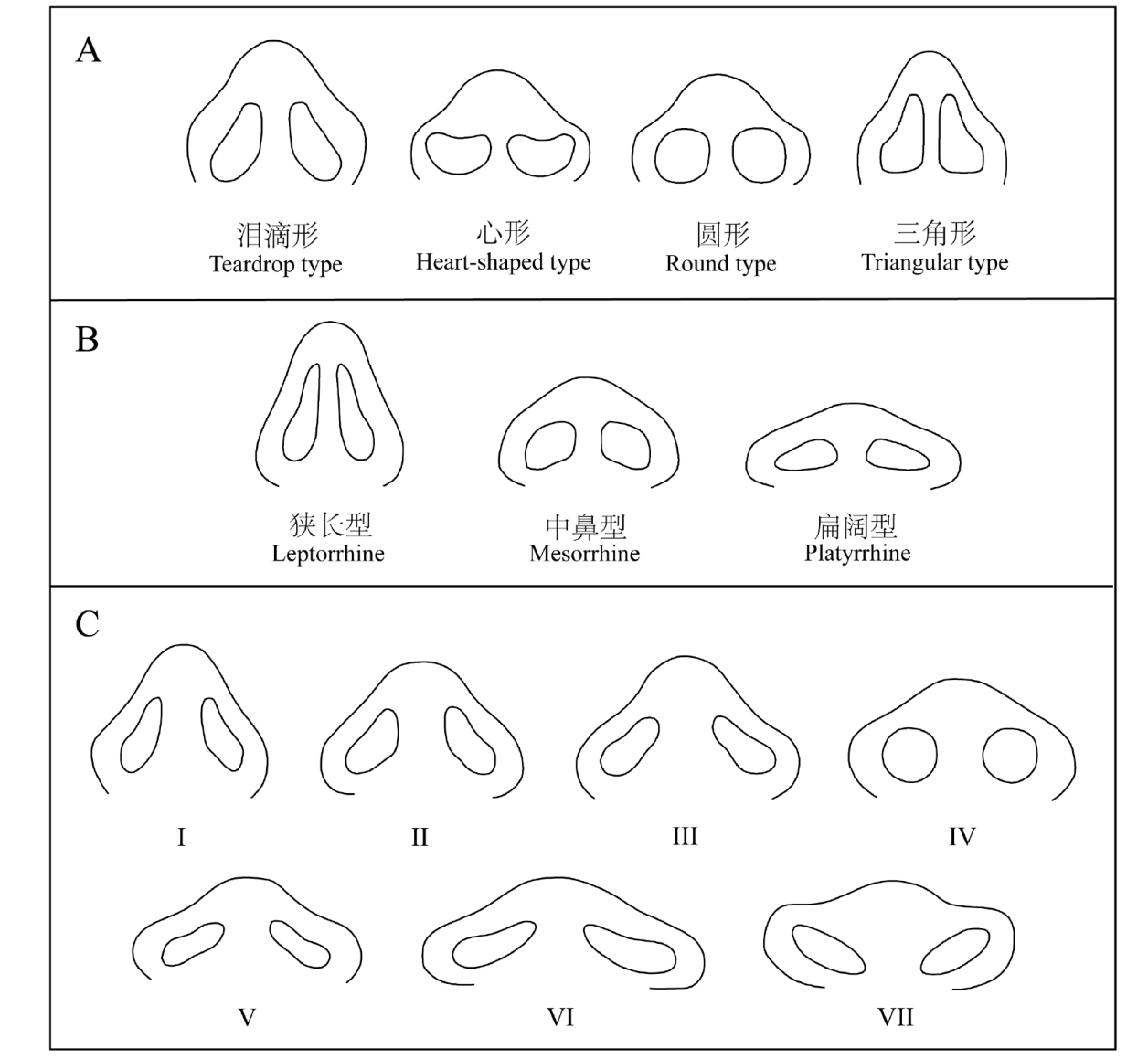 Nasal tips