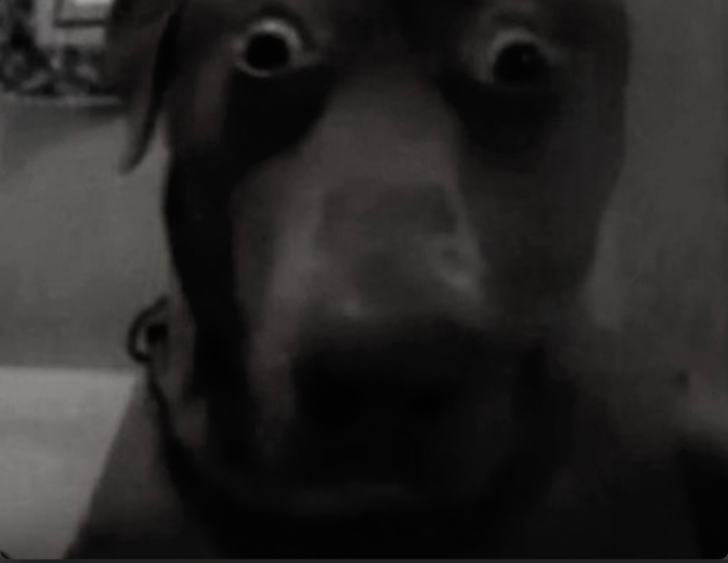 1000151437