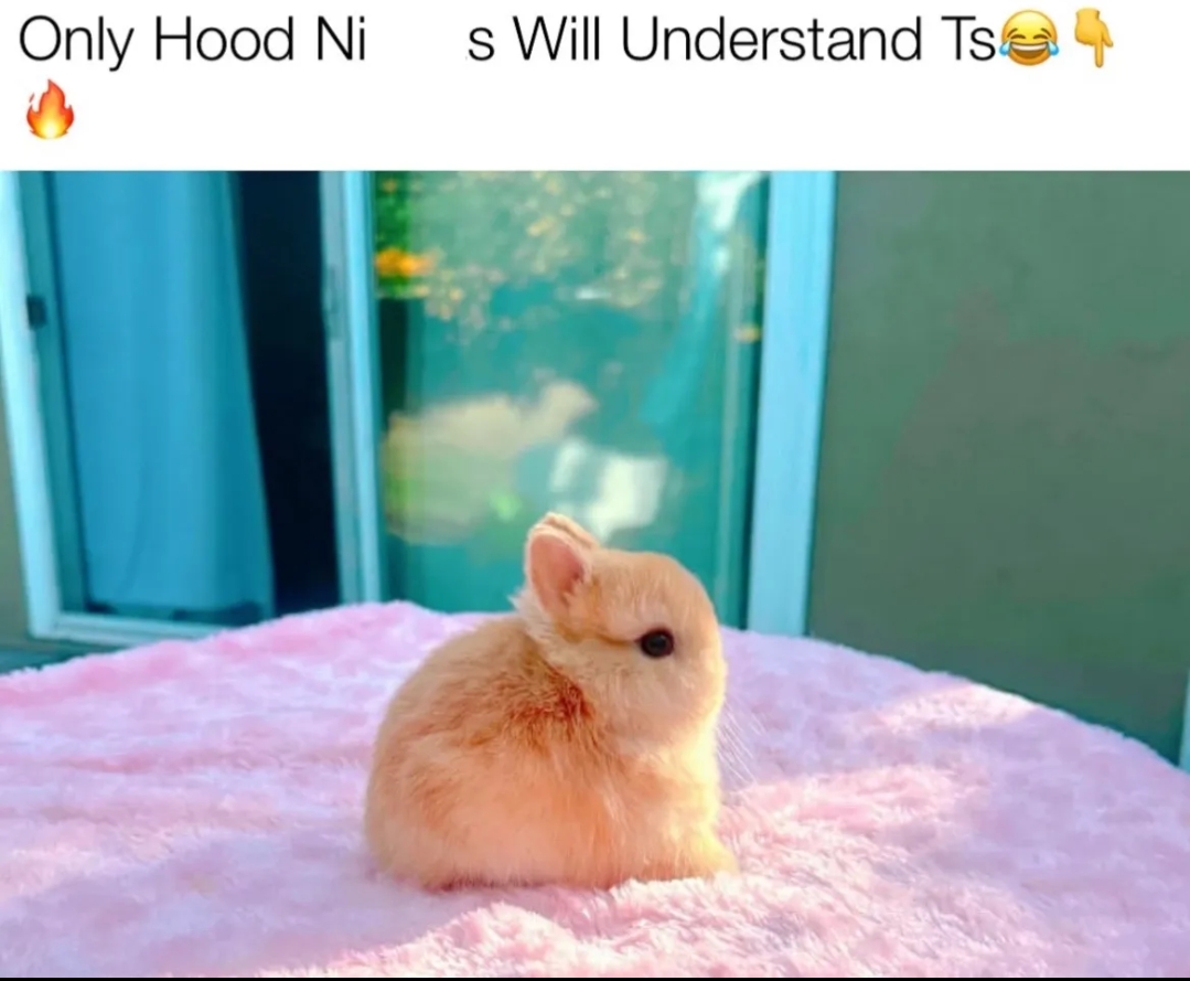 Screenshot 20250824 214129