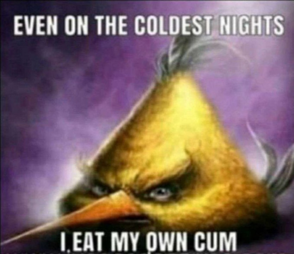 3906932 1705963741385