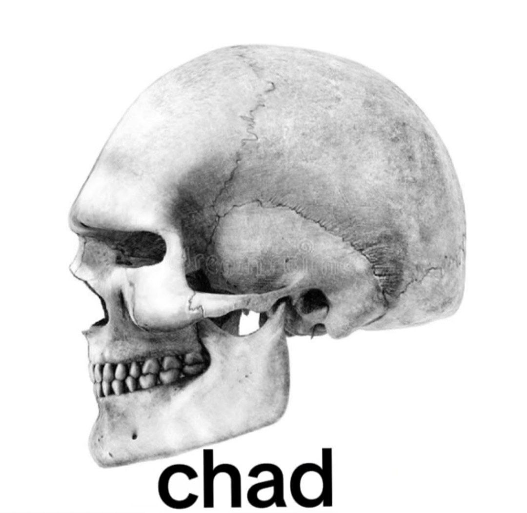 1000042851 1000042851