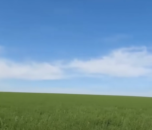 1760368931368 1760368931368