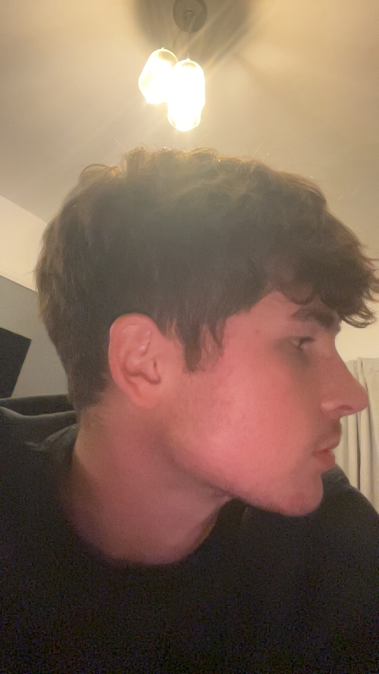 IMG 2337