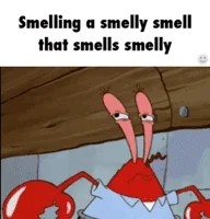 1760392471277 1760392471277