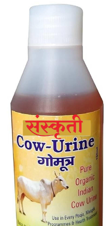 Screenshot 2025 10 14 004411