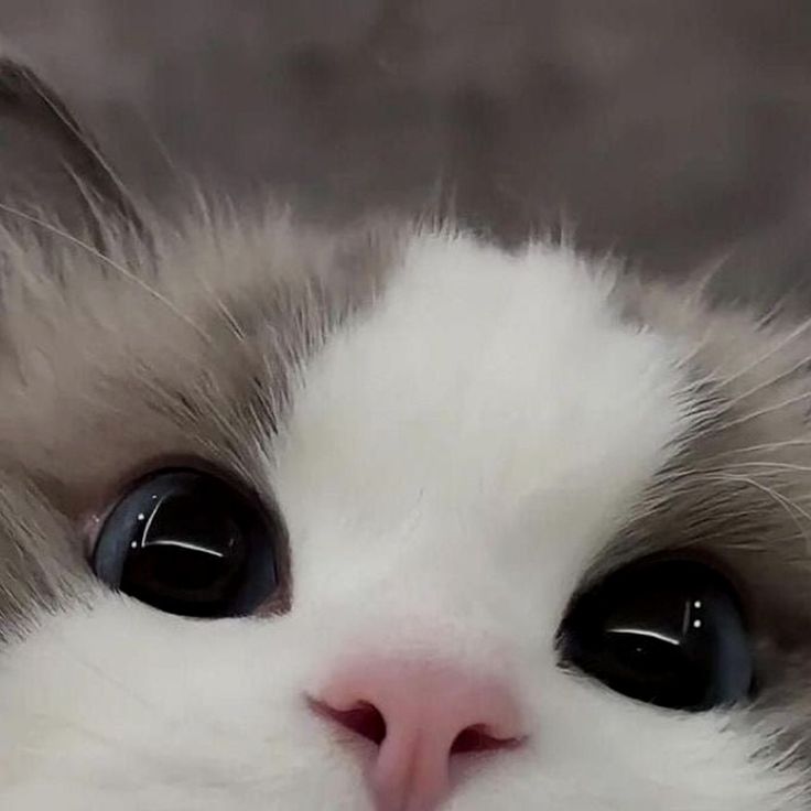 1000005755