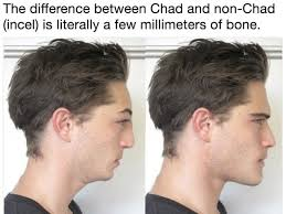 1760461280389