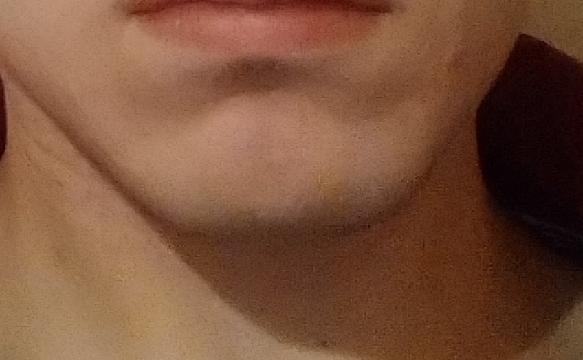 DSC 0130