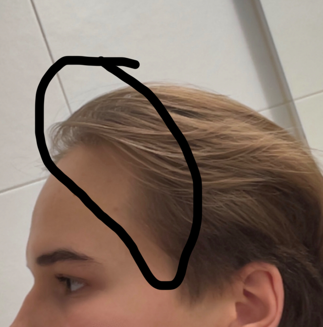 IMG 1934