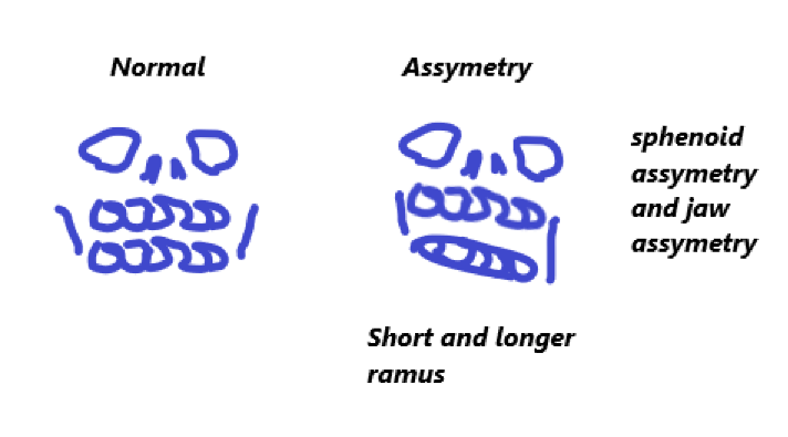 1760489802104 1760489802104