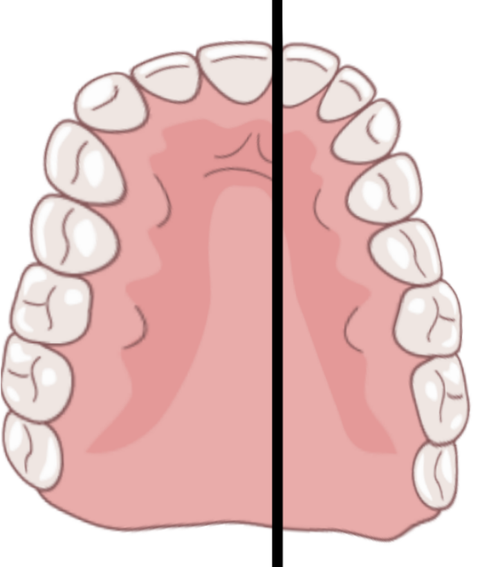 Picsart 25 10 15 14 07 25 186