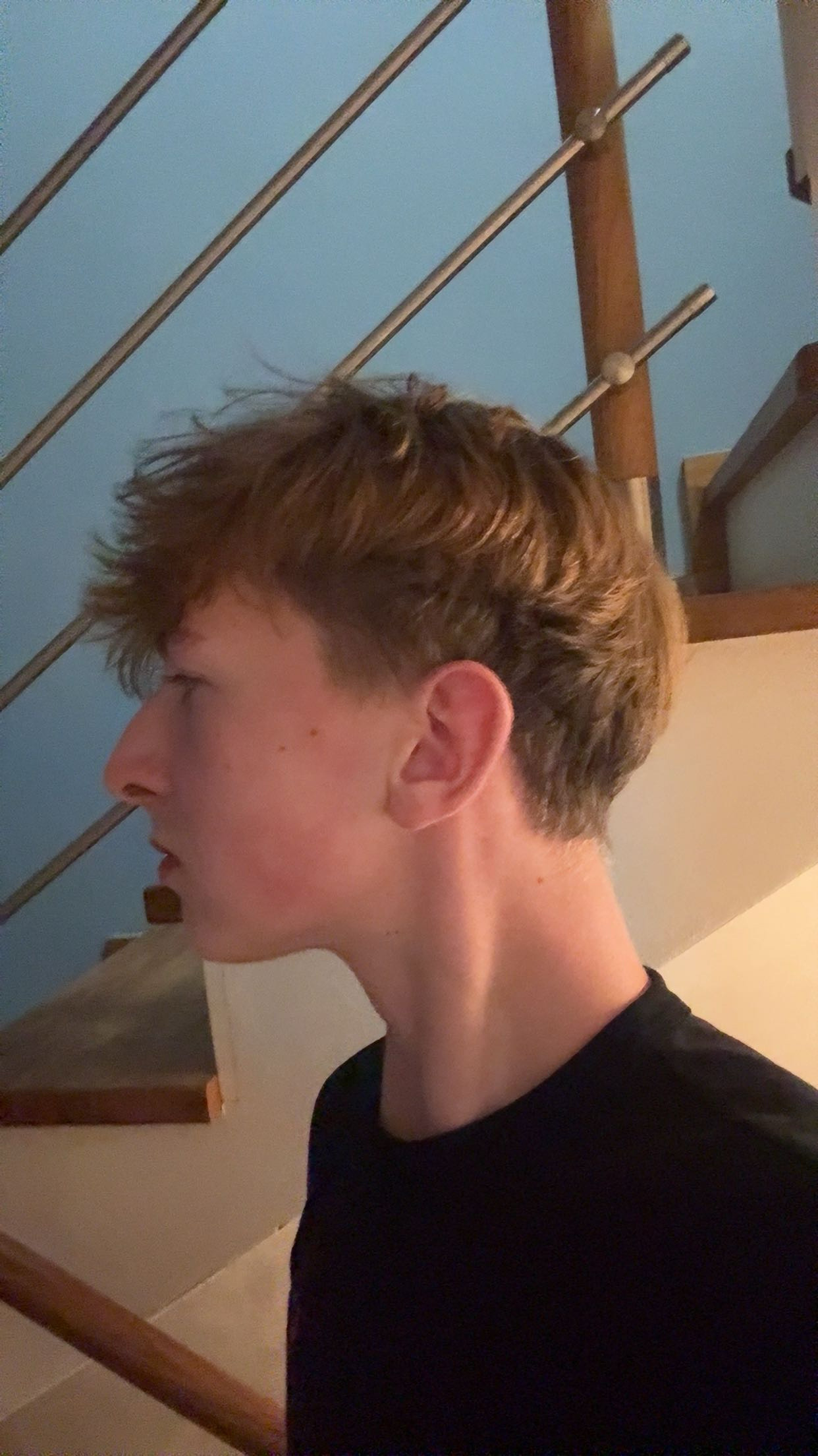 5428354 IMG 4642