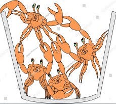 1760565578580 1760565578580