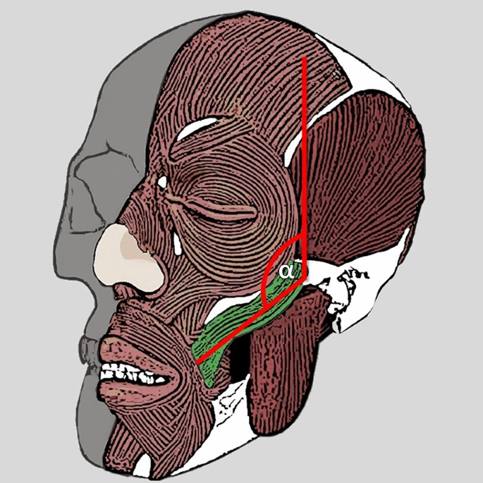266 2024 3876 Fig4 HTML 266 2024 3876 Fig4 HTML