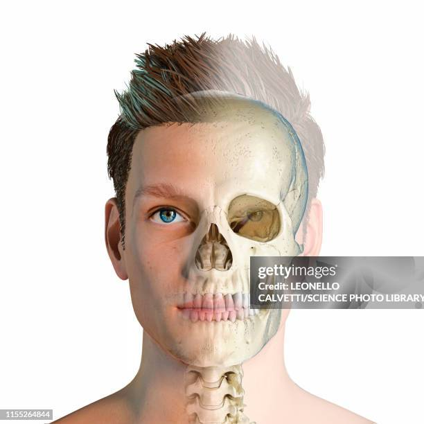 1760651882250