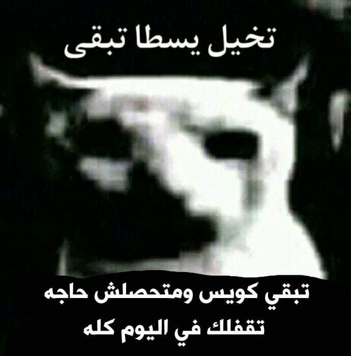 FONWnb6X0AApmmH