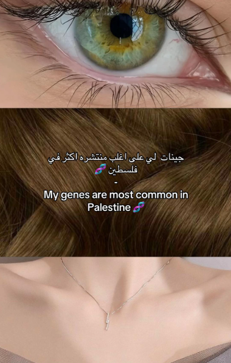 1760734020772 1760734020772