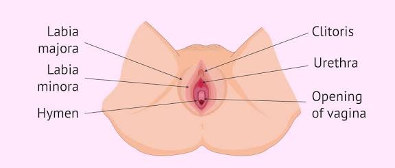 Images 41