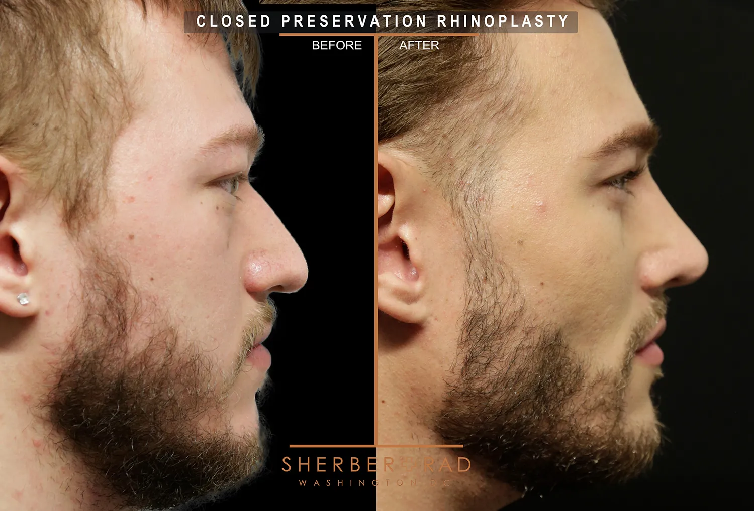 1760738547292 1760738547292