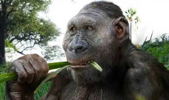 1760758924535 1760758924535