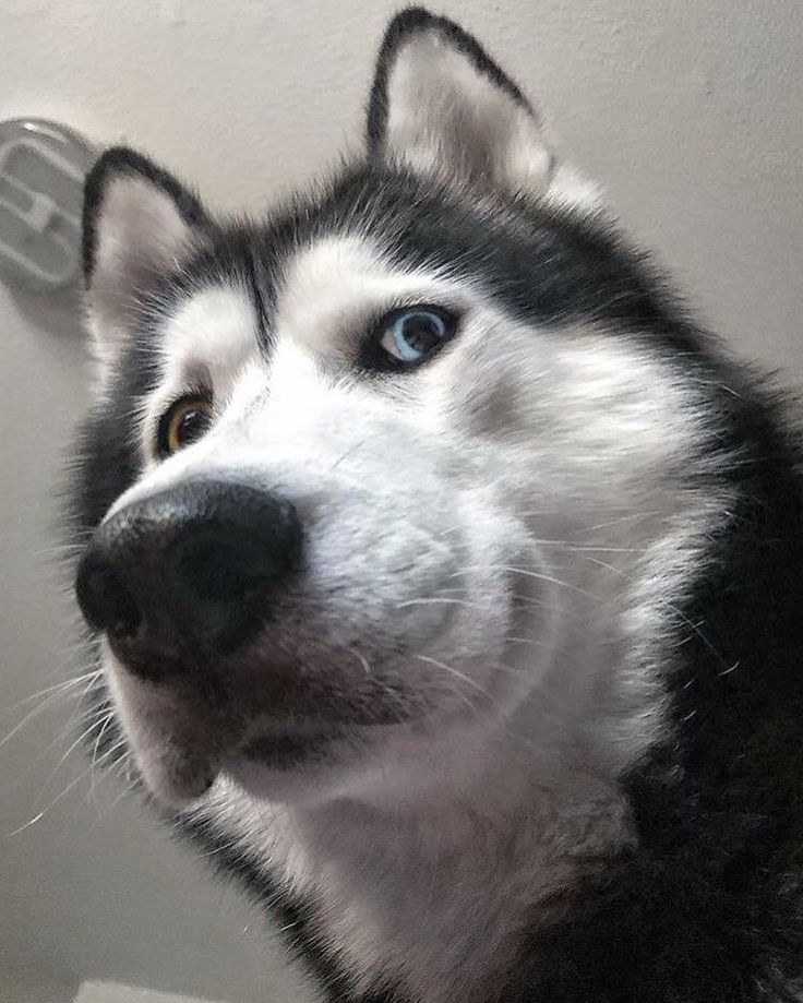 1000005884