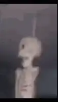 Rotating skull
