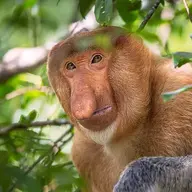 1760811183962 1760811183962