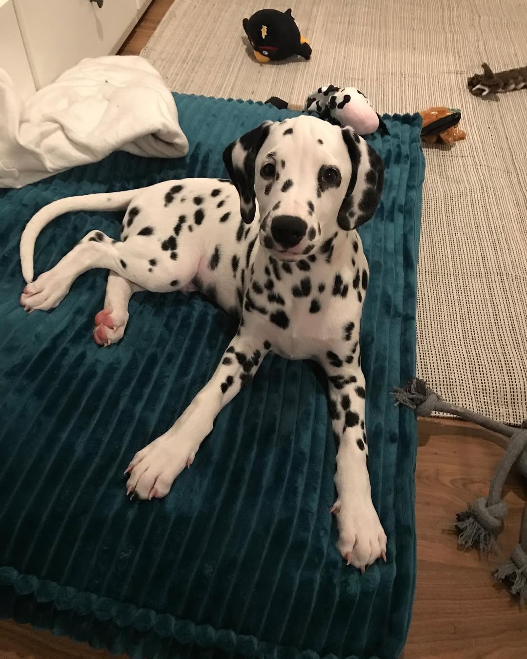 560749062 784123407834608 1305001447868315865 n