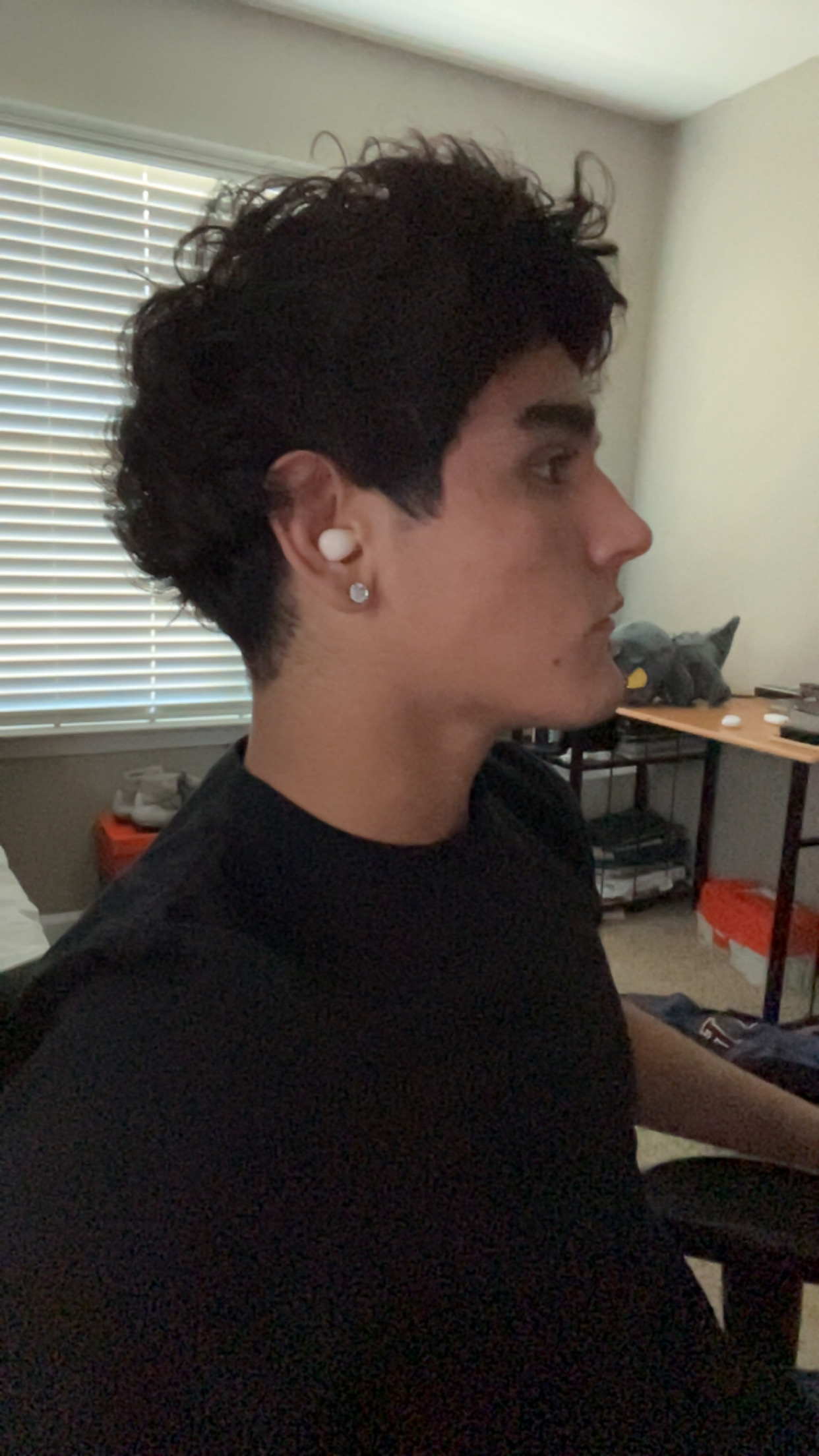 IMG 2364