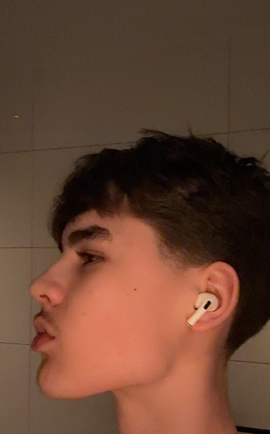 IMG 1220