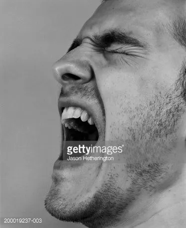 1761005754337 1761005754337