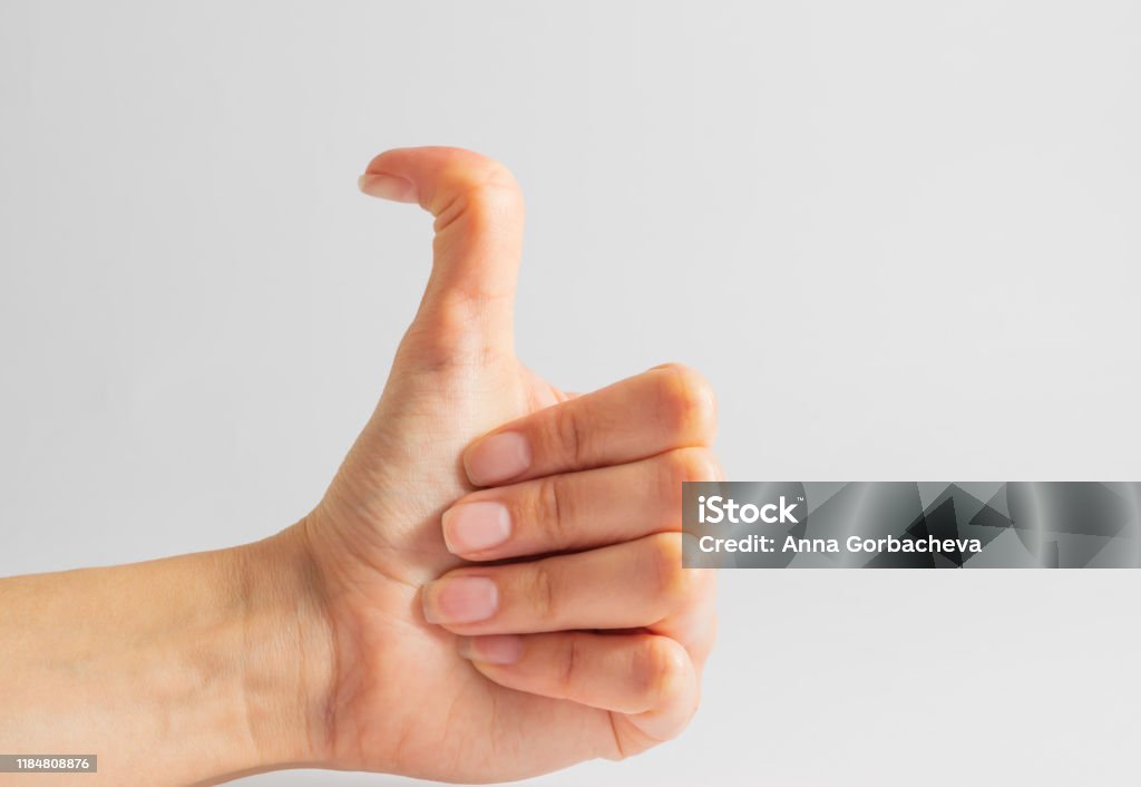Istockphoto 1184808876 1024x1024 Istockphoto 1184808876 1024x1024