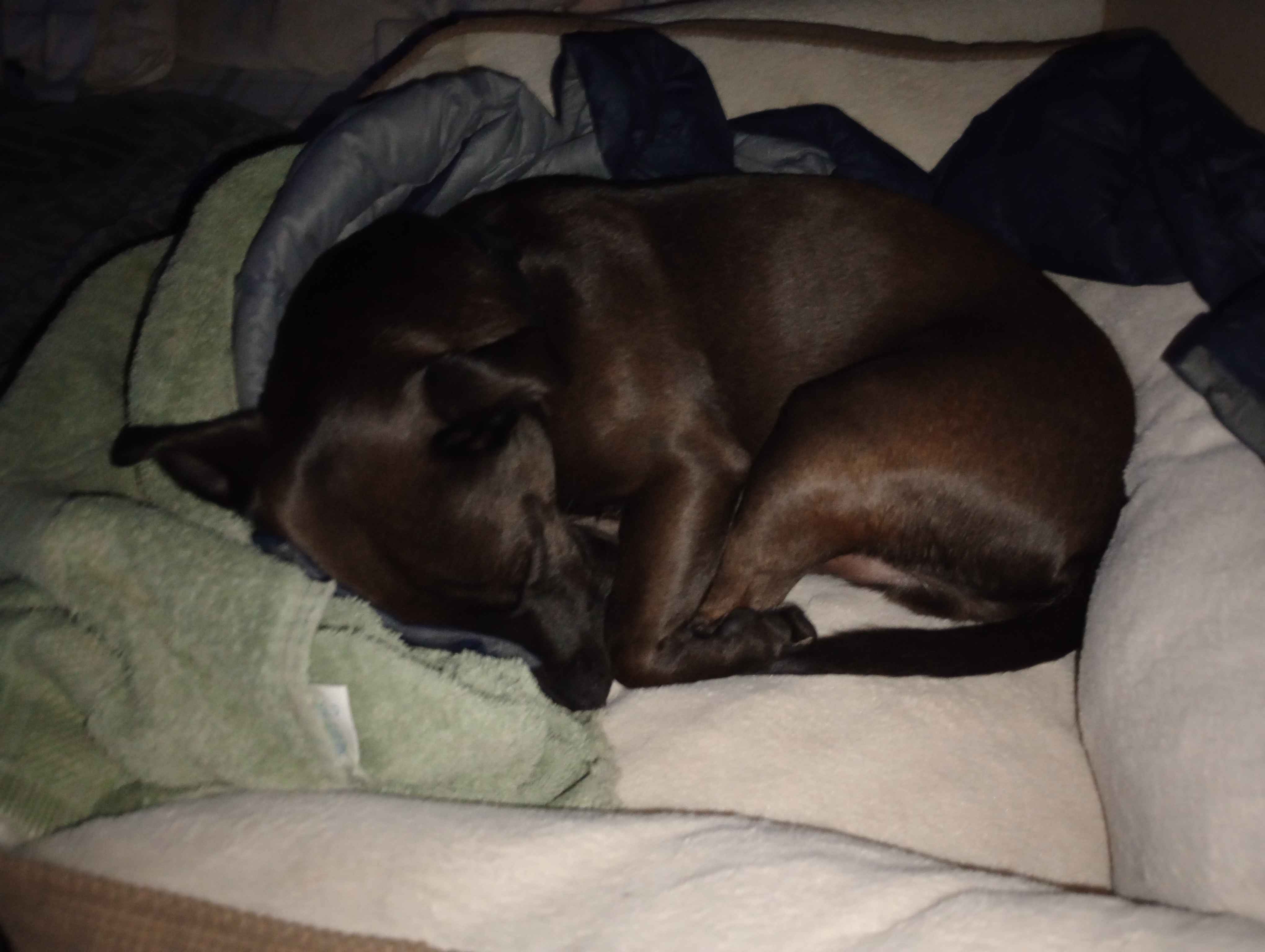 IMG 20251021 024628305 IMG 20251021 024628305