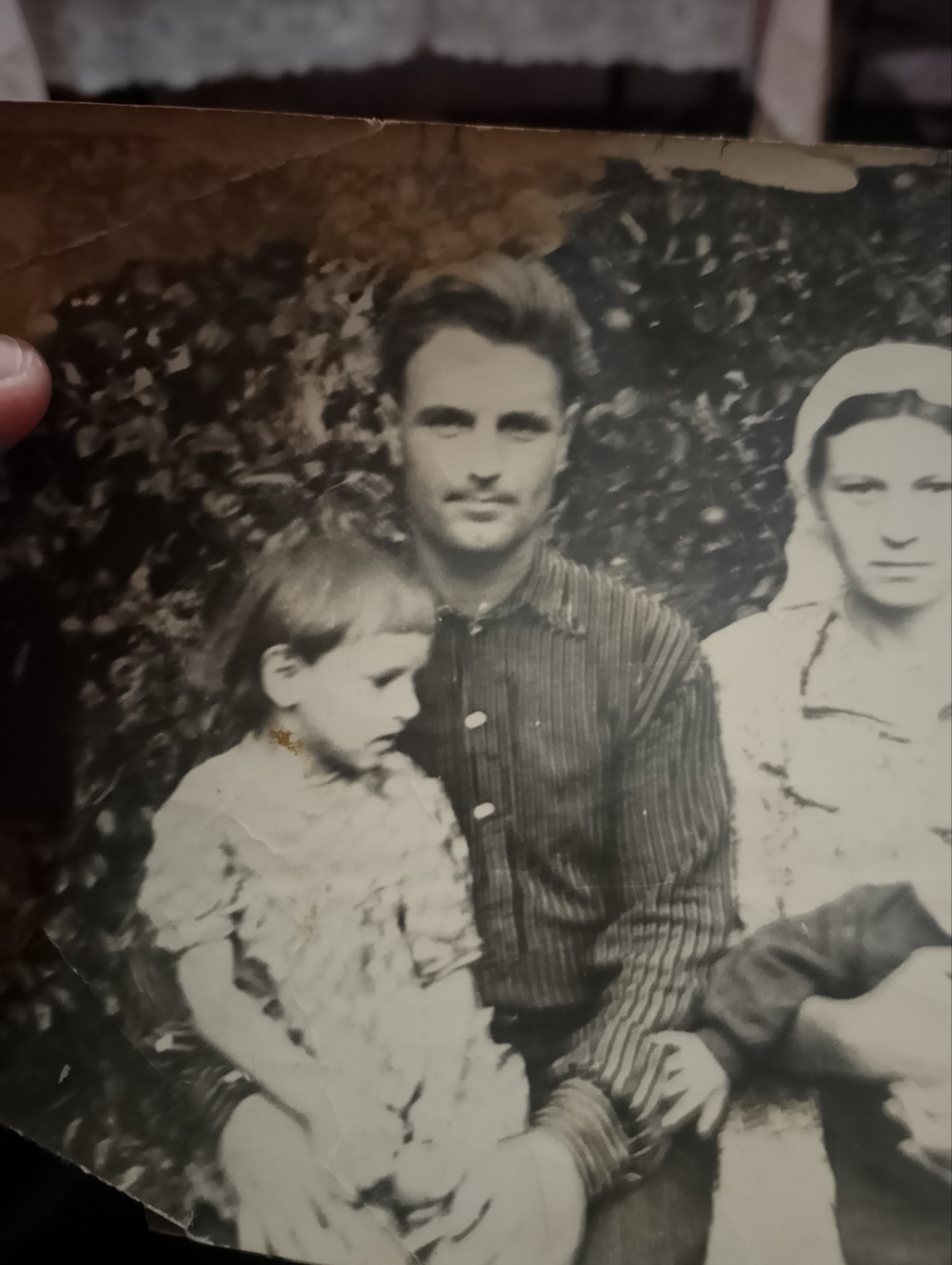 Photo 5458796325777831135 w