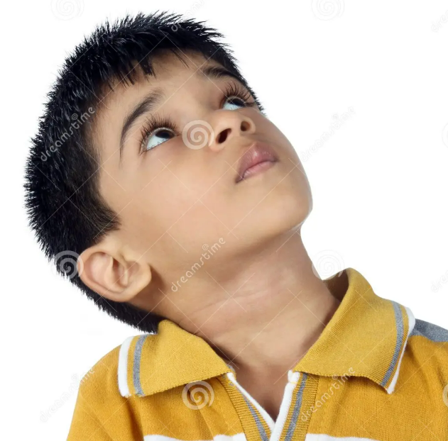 1761078745110 1761078745110