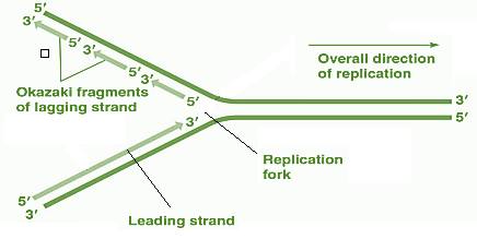 Download 1 Download 1