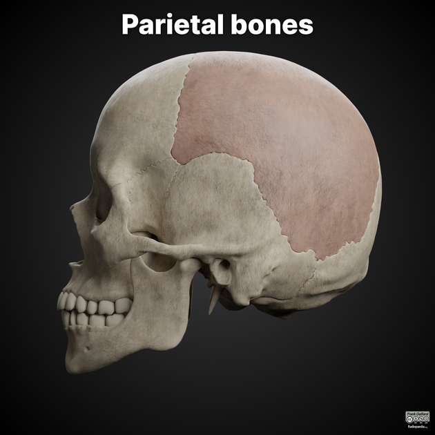 1761142577878 1761142577878