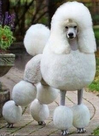 F2136d 7d7d597b6cbd4bbb817b0e5eca90dc48mv2