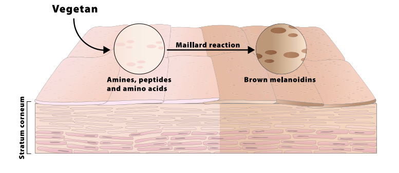 How self tanner works How self tanner works