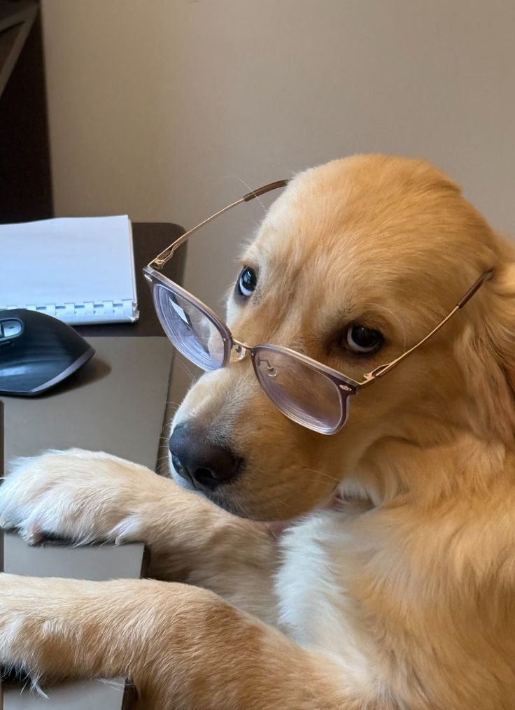 1000005934 1000005934