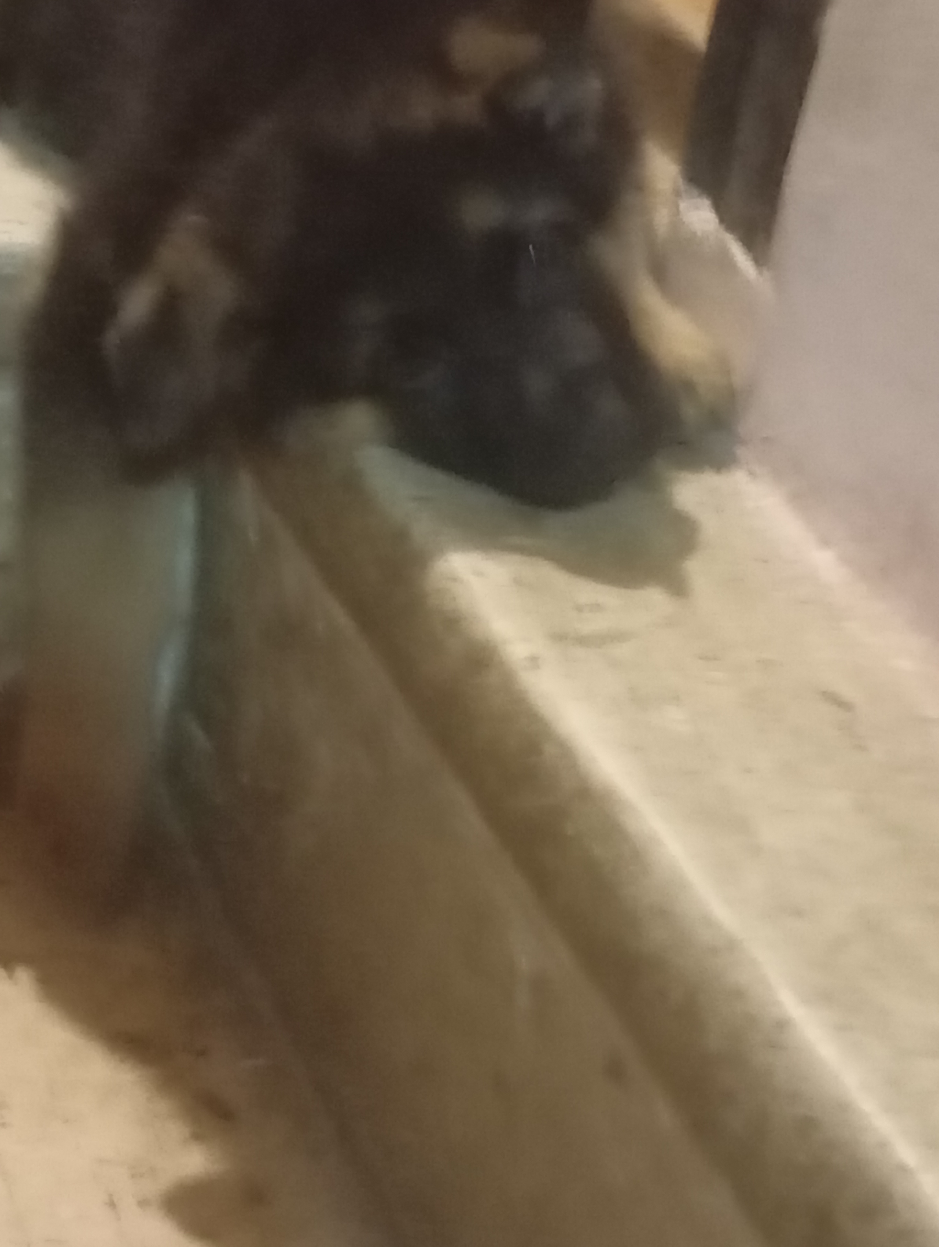 59c0c221 3a31 422b 9a32 3d659ac3f299 1 all 23703