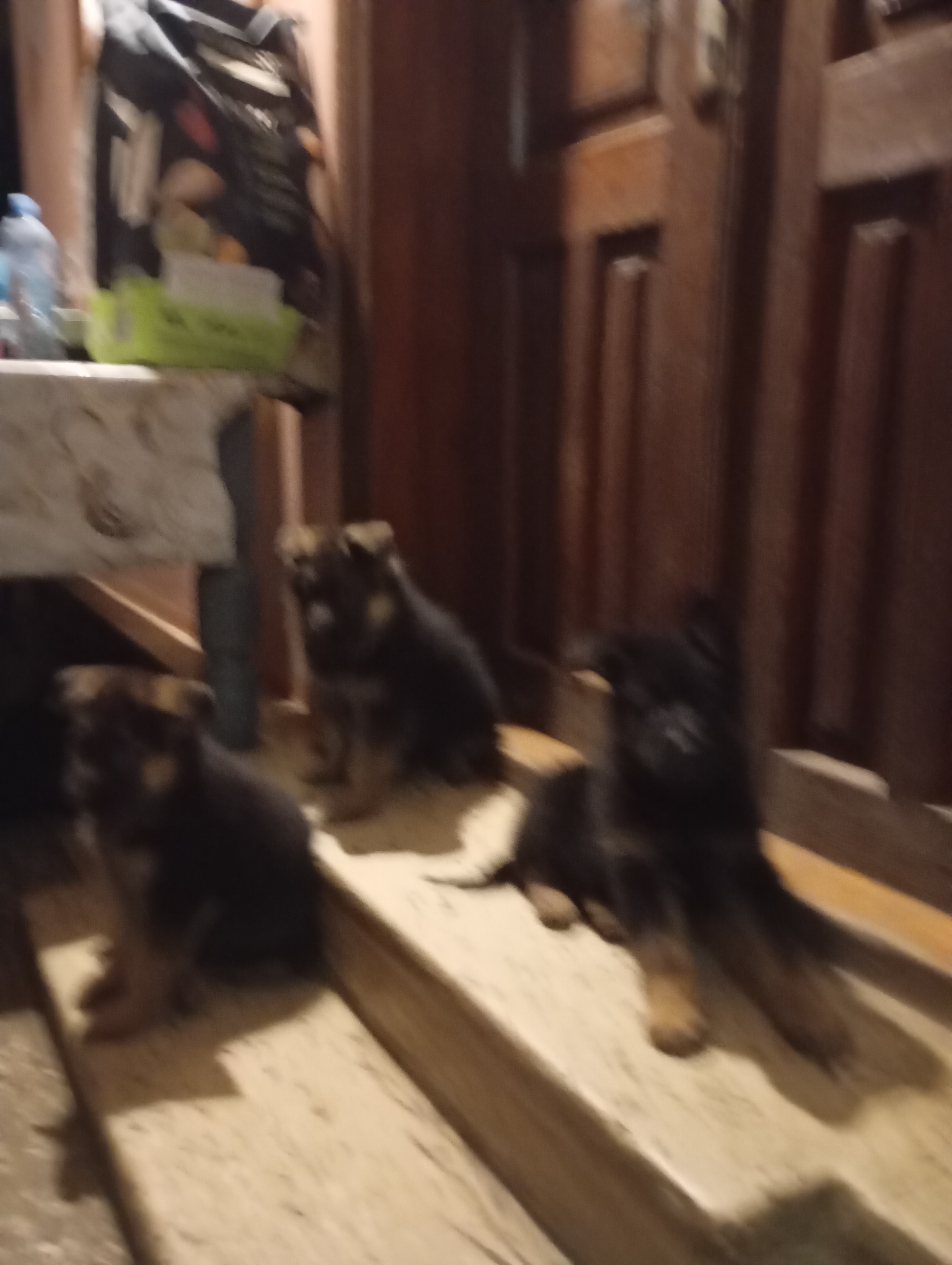 59c0c221 3a31 422b 9a32 3d659ac3f299 1 all 23670