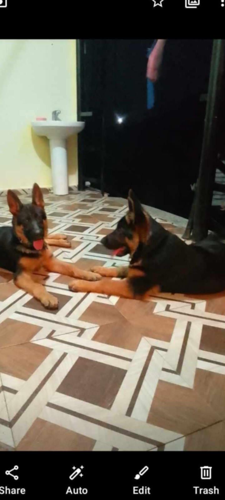 59c0c221 3a31 422b 9a32 3d659ac3f299 1 all 22838