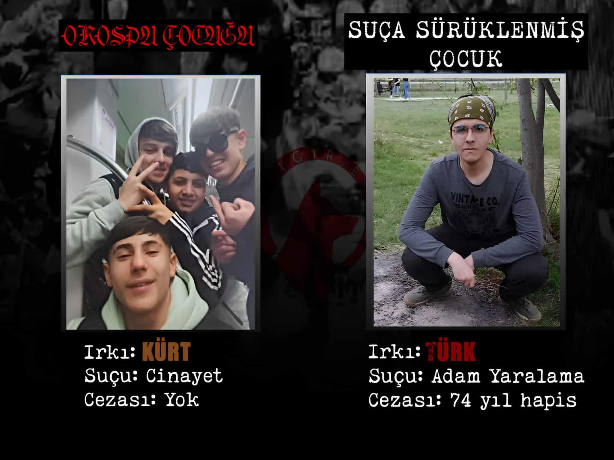 1000012599 1000012599