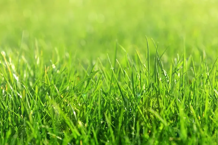 1761256767143 1761256767143