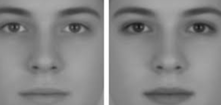 1761258425277 1761258425277