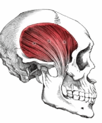 Is there any way to directly induce clockwise rotation of v0 ih2hoveibfse1 1
