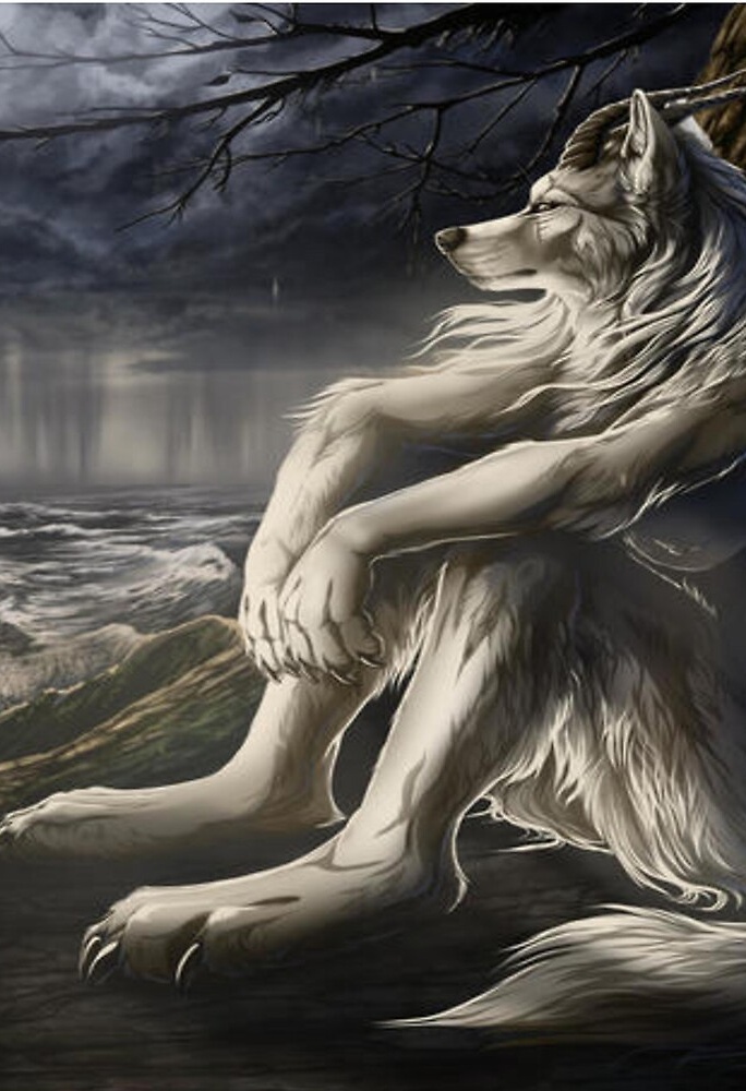 Flat750x075f pad750x1000f8f8f8 edit 547974415019 Flat750x075f pad750x1000f8f8f8 edit 547974415019