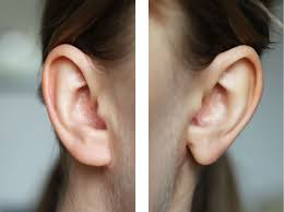 1761309407555 1761309407555